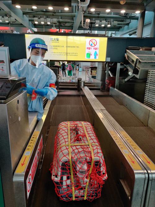 国际物流的运输方式有哪些? 国际物流的运输方式有哪些?