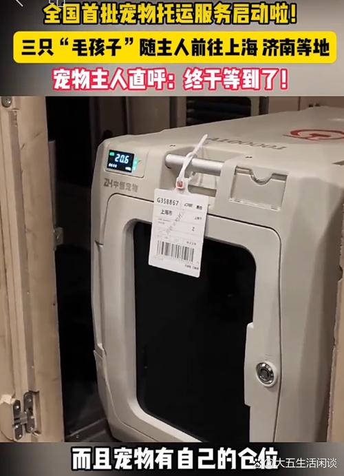 高铁托运狗狗多少钱 高铁托运狗狗多少钱