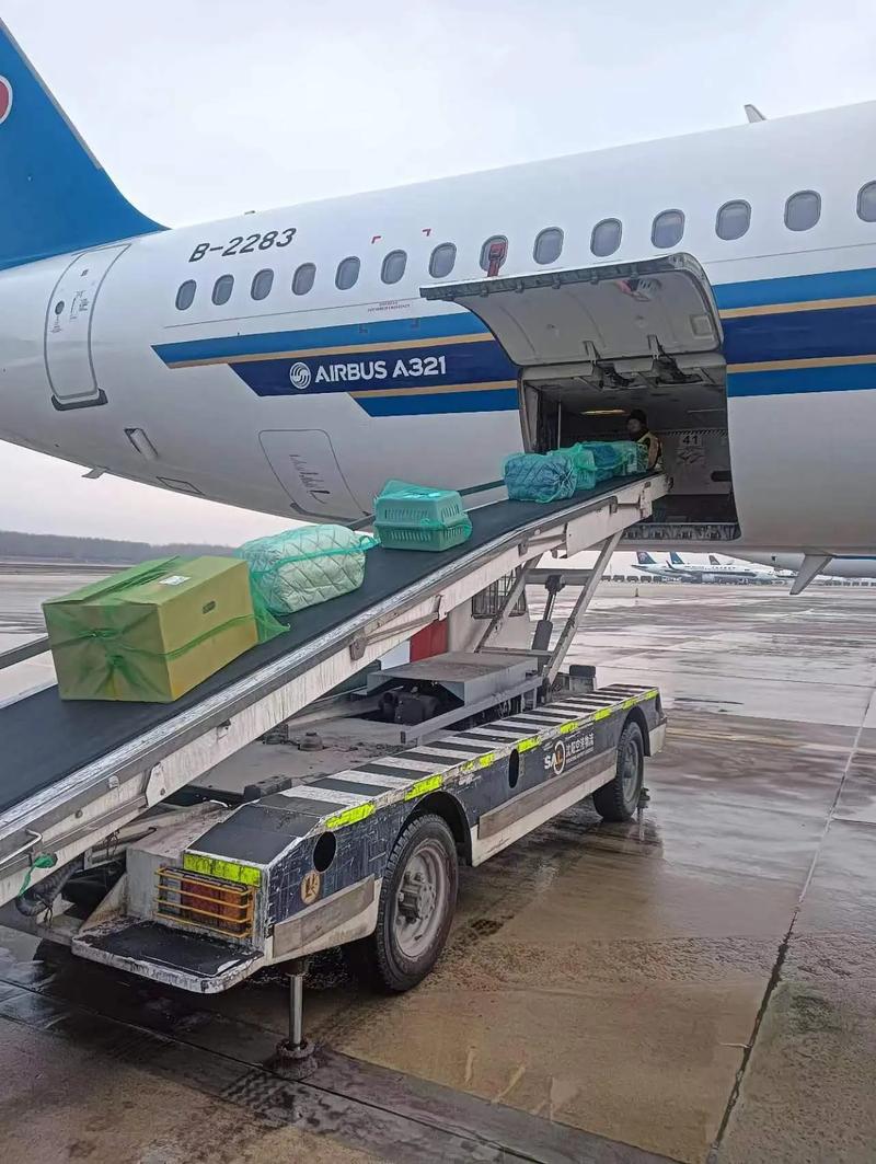 飞机托运费是多少钱一公斤 飞机托运费是多少钱一公斤