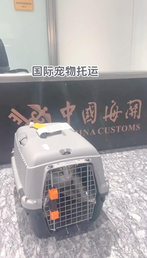 宠物可以火车托运吗 宠物可以火车托运吗