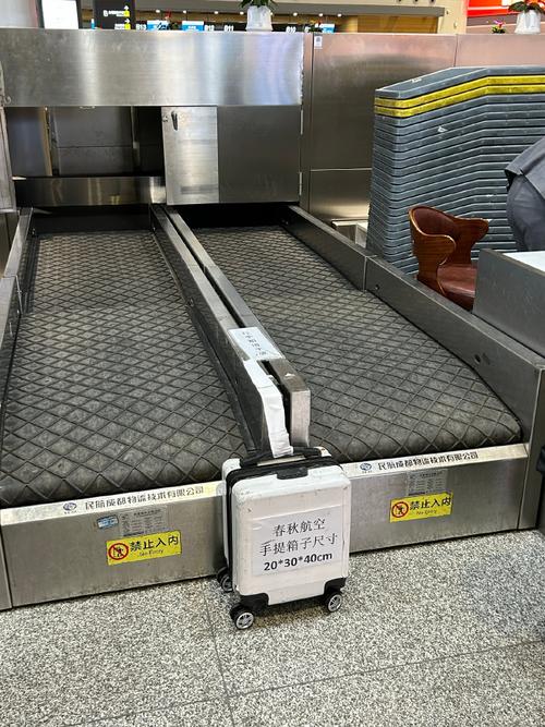 春秋航空可以携带一个双肩包和笔记本电脑登记吗 或者双肩包加一个单反包... 春秋航空可以携带一个双肩包和笔记本电脑登记吗 或者双肩包加一个单反包...