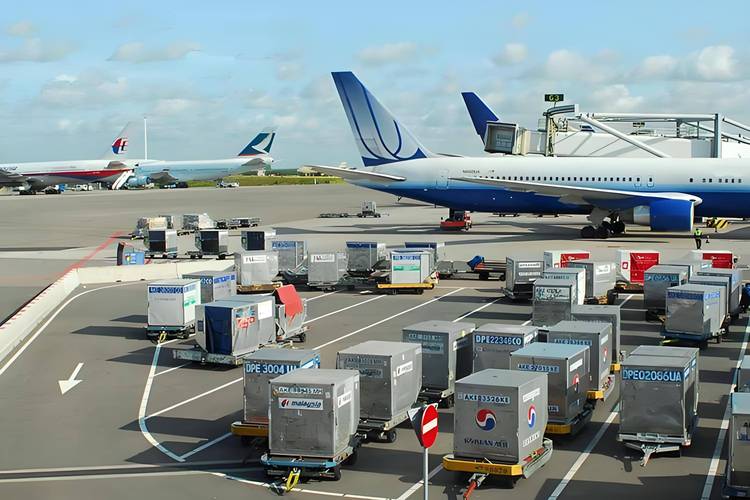 顺丰托运宠物费用标准? 顺丰托运宠物费用标准?