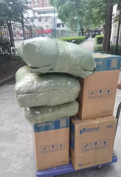 集运宝典有无错版吗?感觉精简版上有很多无法打开的链接! 集运宝典有无错版吗?感觉精简版上有很多无法打开的链接!