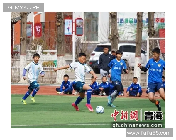 深圳排球队的崛起之路：城市联赛中的拼搏与梦想